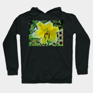 Lily By The Wall Hoodie